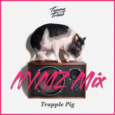 Tommy Trash - Trapple Pig (Nymz Mix)