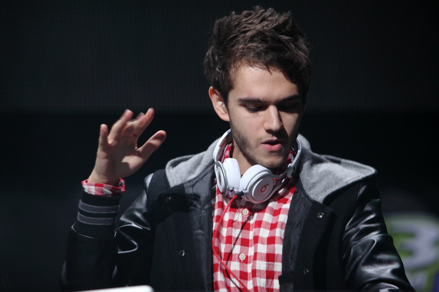 Zedd-Hearing-Loss