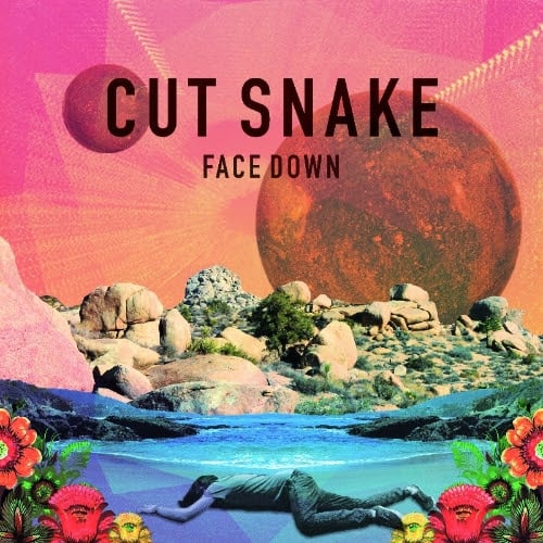 cut snake face down debut track house