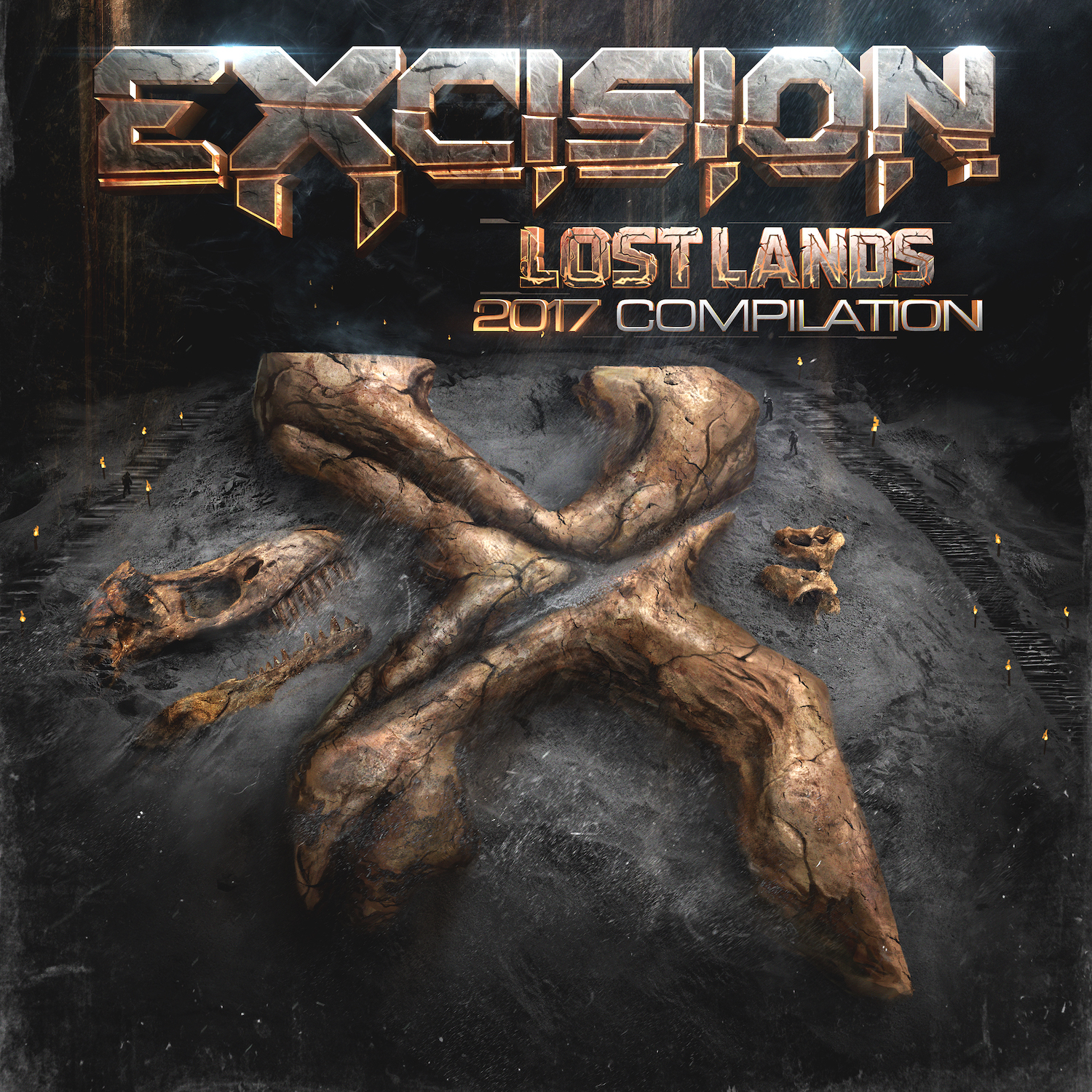 Excision