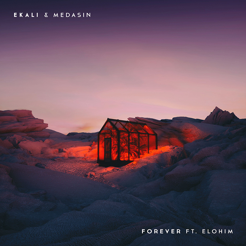 Ekali and Medasin - Forever ft. Elohim