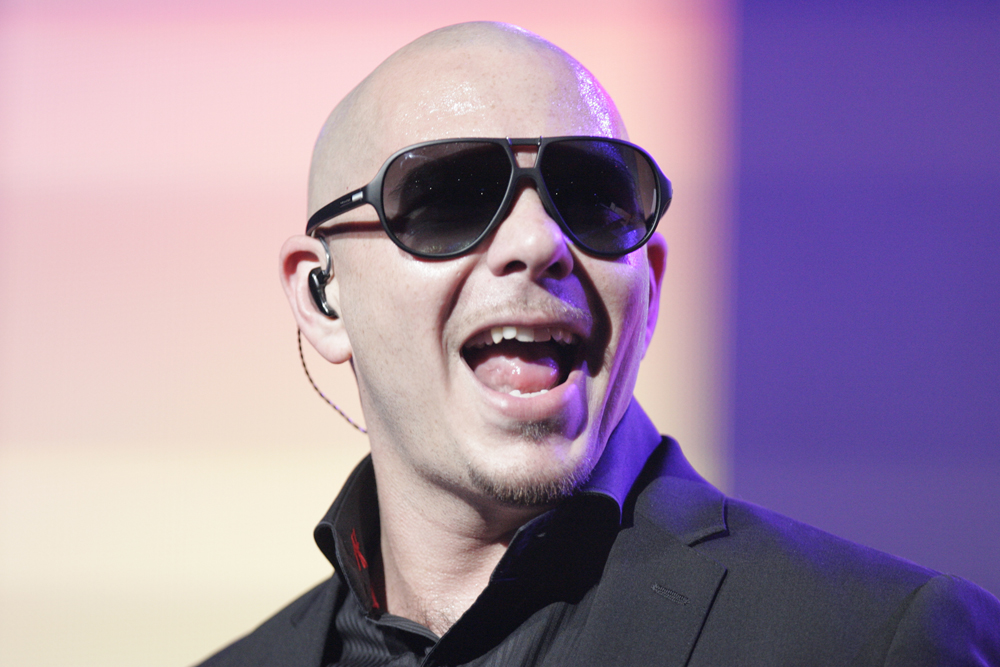 pitbull