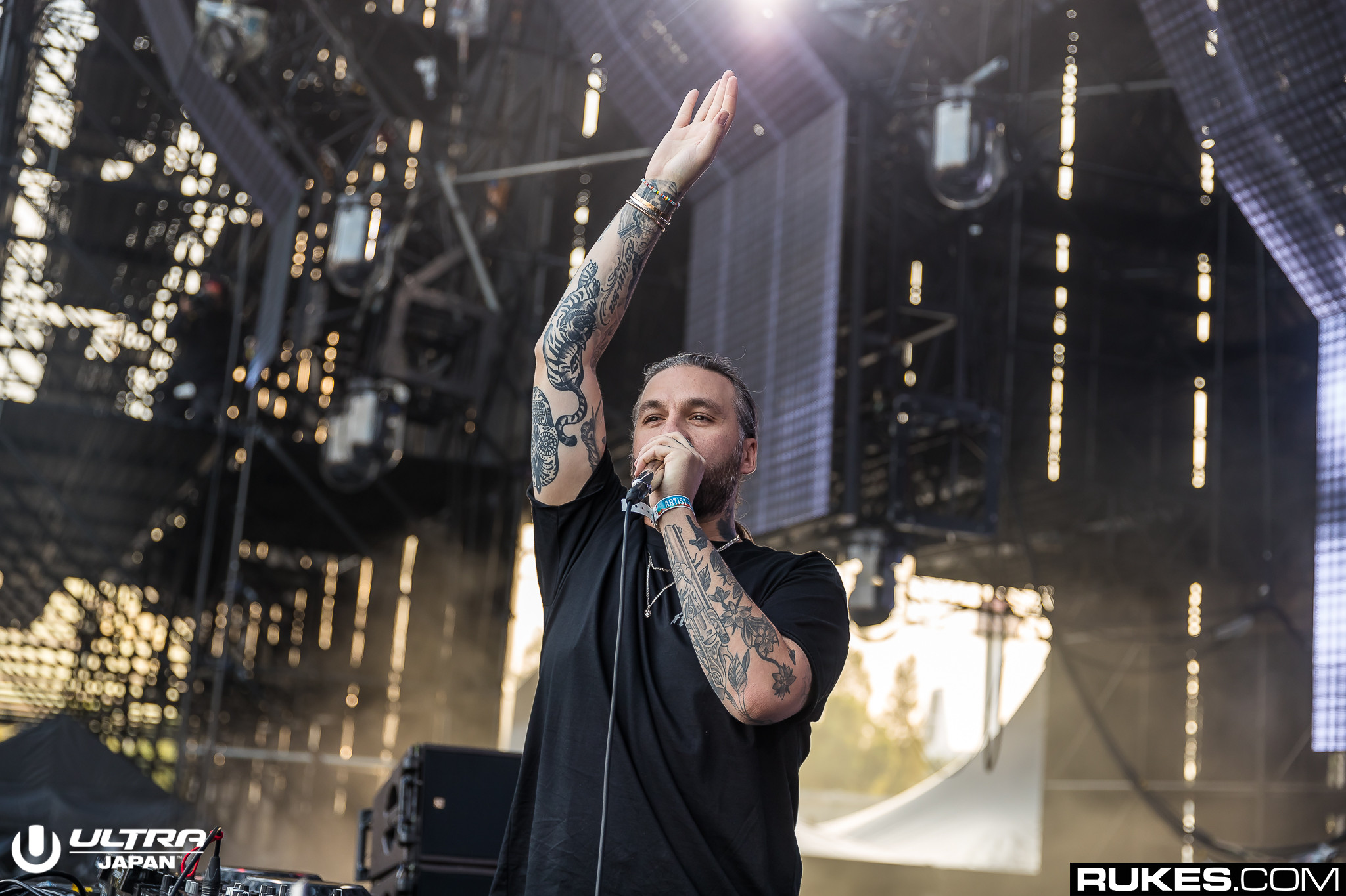 steve angello